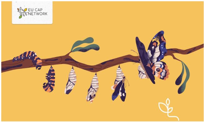 Un nou grup tematic:  tranziția justă în sistemul agroalimentar - rolul PAC